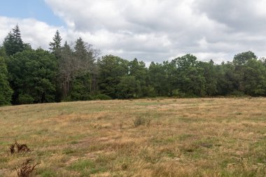 Yateley Common geniş bir heathland kompleksi açık fundalık, gorse, huş ağacı ve meşe ağaçları ile