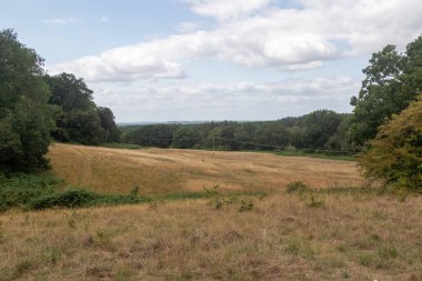 Yateley Common geniş bir heathland kompleksi açık fundalık, gorse, huş ağacı ve meşe ağaçları ile