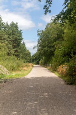 Yateley boyunca uzanan bir yol manzarası. Açık fundalık, gorse, huş ağacı ve meşe ağaçlarının bulunduğu geniş bir Heathland kompleksi.