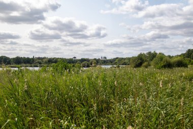 Fleet Pond Yerel Doğa Koruma Alanında bir sazlık manzarası ve Özel Bilimsel İlgi Alanı