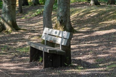 Fleet Pond Yerel Doğa Koruma Alanında bir bank ve Özel Bilimsel İlgi Alanı