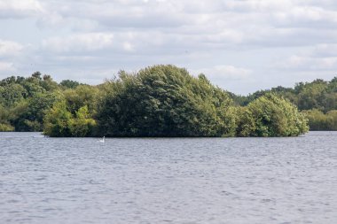 Fleet Pond Local Nature Reserve 'deki göl manzarası ve Özel Bilimsel İlgi Alanı