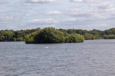 Fleet Pond Local Nature Reserve 'deki göl manzarası ve Özel Bilimsel İlgi Alanı