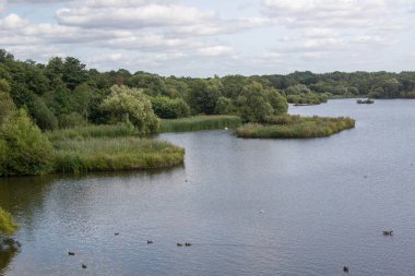 Fleet Pond Local Nature Reserve 'deki göl manzarası ve Özel Bilimsel İlgi Alanı