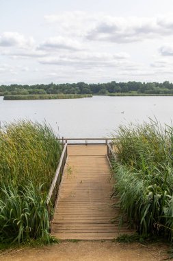 Fleet Pond Yerel Doğa Koruma Alanındaki bir iskelenin manzarası ve Özel Bilimsel İlgi Alanı