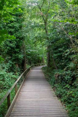 Filo Göleti Yerel Doğa Koruma Alanı ve Özel Bilimsel İlgi Alanı 'nda bir yol görüntüsü
