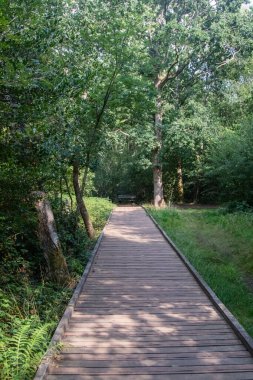 Filo Göleti 'ndeki ormanlık alanda bir patika manzarası ve Özel Bilimsel İlgi Alanı