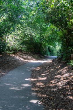 Virginia Su Gölü 'nü çevreleyen patikanın manzarası.