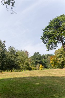 Virginia Su Gölü 'nü çevreleyen patika boyunca uzanan parkın manzarası.