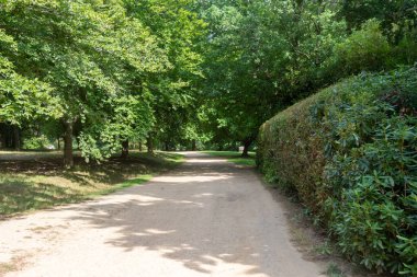 Virginia Su Gölü 'nü çevreleyen patikanın manzarası.