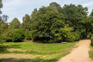Virginia Su Gölü 'nü çevreleyen patikanın manzarası.