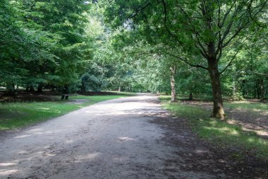 Virginia Su Gölü 'nü çevreleyen patikanın manzarası.