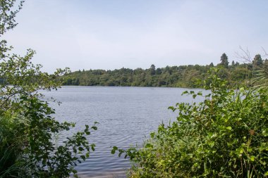 Virginia Su Gölü manzarası, Windsor Büyük Parkı 'nın bir kısmı ve Crown Emlak.