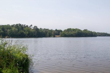 Virginia Su Gölü manzarası, Windsor Büyük Parkı 'nın bir kısmı ve Crown Emlak.