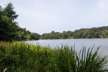 Virginia Su Gölü manzarası, Windsor Büyük Parkı 'nın bir kısmı ve Crown Emlak.