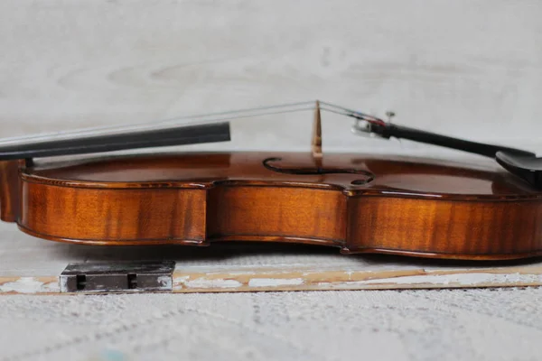Skrzypce Orkiestra Lub Solo Profesjonalny Łuk Instrument Muzyczny Czterech Strun — Zdjęcie stockowe