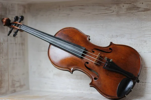 Violino Instrumento Musical Curvado Profissional Orquestral Solo Com Quatro Cordas — Fotografia de Stock