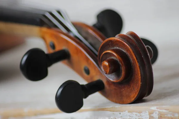 Violin Orchestral Solo Professional Bowed Musical Instrument Four Strings Loved — Stock Photo, Image