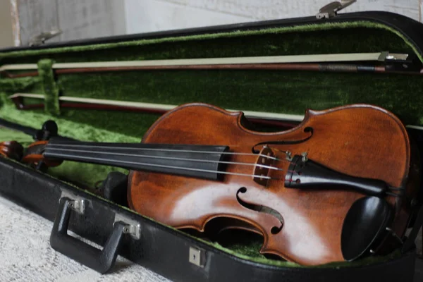 Geige Ein Professionelles Streichinstrument Mit Vier Saiten Von Kindern Und — Stockfoto