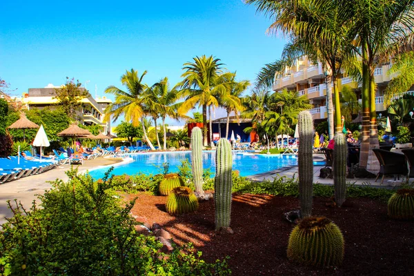 stock image Swimming pool, open-air restaurant and exotic trees of luxury hotel, Tenerife island, Spain. High quality photo