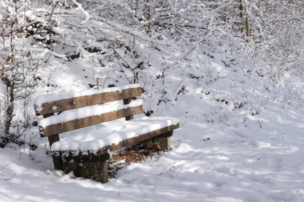 Väg Går Bit Snöig Vinterpark Vid Iskallt Väder Utan Människor Royaltyfria Stockfoton