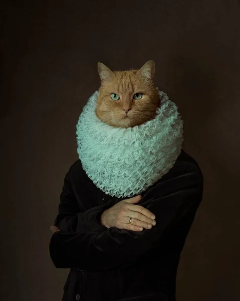 Současné Umění Muž Čele Kočkami Hlavu Obleku Obchodním Stylu Izolované — Stock fotografie