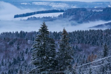 Karda, kış ormanlarında, Noel ağaçlarında, dağlarda, Wasserkuppe, Hessen 'in tepesinden, Almanya' nın en kaliteli fotoğraflarından