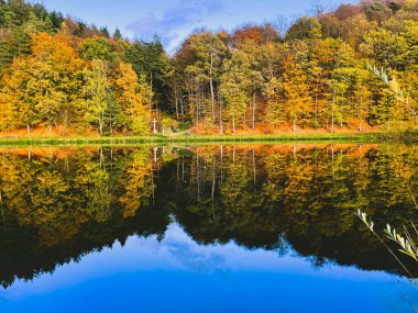 Sonbahar yapraklarıyla çevrili bir orman gölü. Sonbahar arka planında Orman Gölü. Autumn Forest Lake kartpostalı. Marbach Fulda Hesse Almanya 'sında sonbahar manzarasında orman gölü. Yüksek kalite fotoğraf