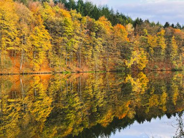 Sonbahar yapraklarıyla çevrili bir orman gölü. Sonbahar arka planında Orman Gölü. Autumn Forest Lake kartpostalı. Marbach Fulda Hesse Almanya 'sında sonbahar manzarasında orman gölü. Yüksek kalite fotoğraf