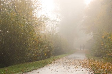 Sihirli sislerin içinde yürümek, sislerin altında gizemli bir manzara, sis bir illüzyon yaratır. Kirchheim im Hesse Almanya 'nın göl parkında, yüksek kaliteli fotoğraf