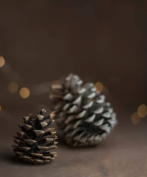 Pine cone isolated on light background. Holiday glowing backdrop. Defocused background with blinking light. Blurred Bokeh. copy space. High quality photo
