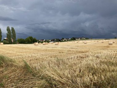 Fulda 'nın Frauenberg Manastırı' yla gün batımındaki altın saat manzarası. Yüksek kalite fotoğraf