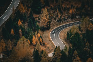 Kır yolundaki sonbahar ormanı boyunca giden arabanın hava görüntüsü. Yüksek kalite fotoğraf