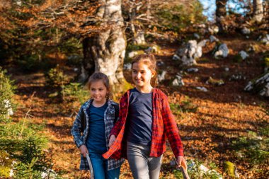 Yürüyüş sırasında güz ormanlarında yürüyen mutlu çocuklar, aile macerası seyahatleri. Yüksek kalite fotoğraf