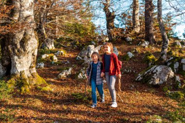 Çocuklar sonbahar ormanlarında yürüyüş sırasında birlikte yürüyorlar, aile macerası seyahati. Yüksek kalite fotoğraf