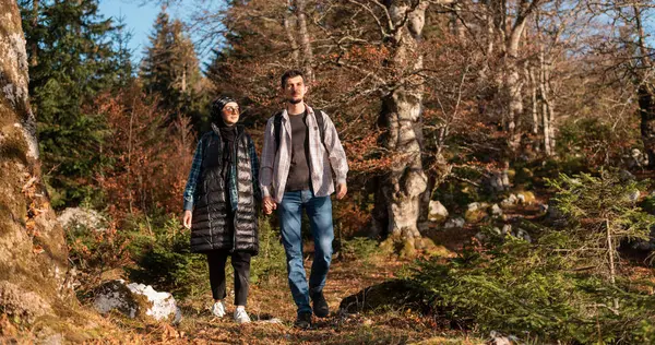 Yürüyüş, macera yolculuğu sırasında sonbahar ormanlarında el ele tutuşan mutlu bir çift gezgini. Yüksek kalite fotoğraf