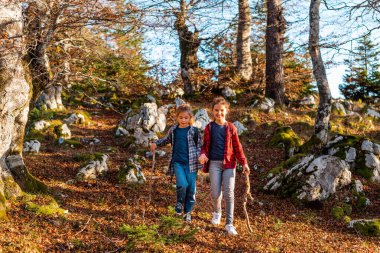 Çocuklar sonbahar ormanlarında yürüyüş sırasında birlikte yürüyorlar, aile macerası seyahati. Yüksek kalite fotoğraf