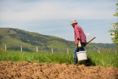 Tarım tarlalarında çalışan erkek çiftçi. Yüksek kalite fotoğraf