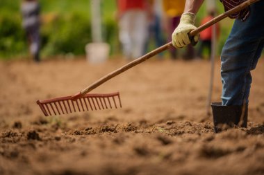 Baharda tarım alanında çalışan bir çiftçi. Yüksek kalite fotoğraf