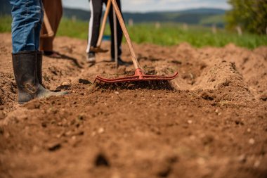 Çiftçilerden oluşan bir ekip, kır bahçesindeki tarımsal tarlalarda çalışıyor. Yüksek kalite fotoğraf