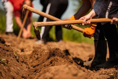 Baharda tarım alanında çalışan bir çiftçi. Yüksek kalite fotoğraf