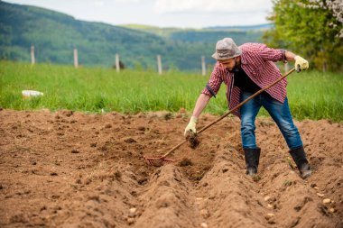 Baharda tarım alanında çalışan bir çiftçi. Yüksek kalite fotoğraf