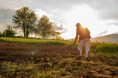 Baharda tarım alanında çalışan bir çiftçi. Yüksek kalite fotoğraf