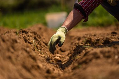 Baharda tarım alanında çalışan bir çiftçi. Yüksek kalite fotoğraf
