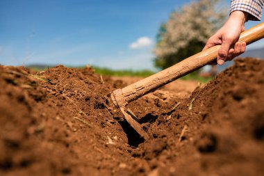 Baharda tarım alanında çalışan bir çiftçi. Yüksek kalite fotoğraf