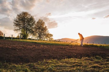Baharda tarım alanında çalışan bir çiftçi. Yüksek kalite fotoğraf