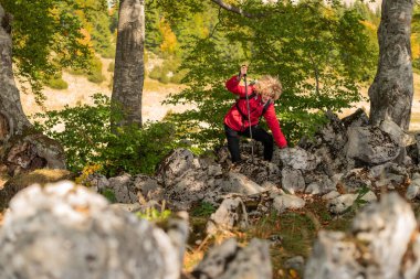 Erkek bir yürüyüşçü tek başına dağ ormanlarını keşfederek yürüyüş ve macera seyahatleri yapar. Yüksek kalite fotoğraf