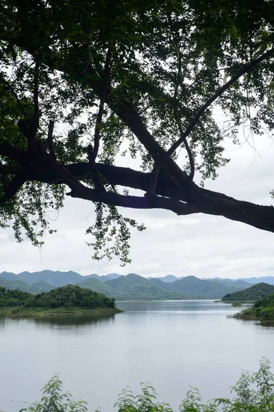 Ön planda bir ağaç. Akşamları deniz ve dağ.