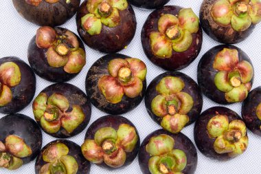 Meyve kraliçesi. Beyaz arka planda Mangosteen 'ler.