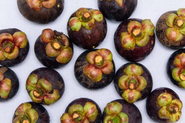 Meyve kraliçesi. Beyaz arka planda Mangosteen 'ler.